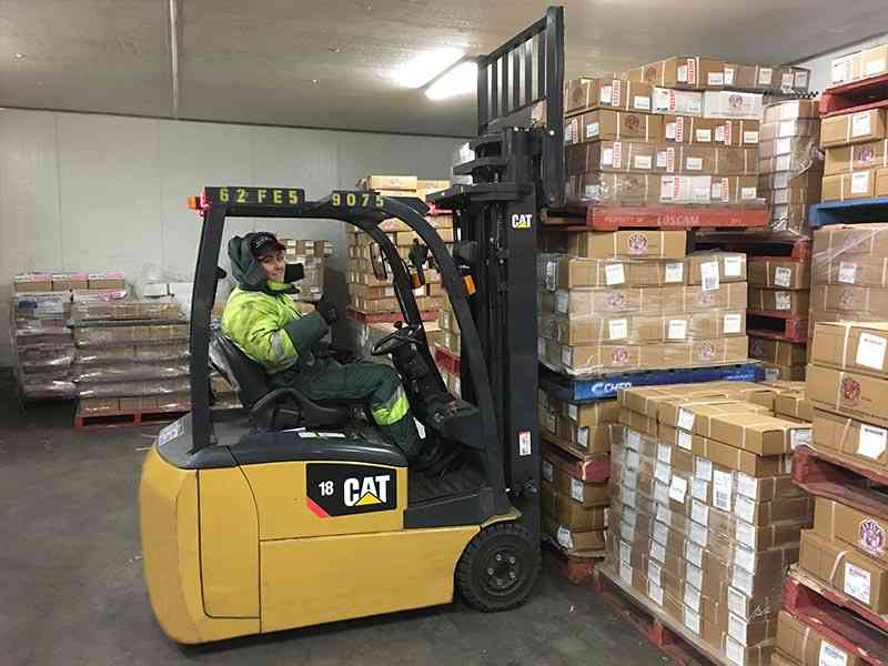 CAT electric forklift for cool room operations